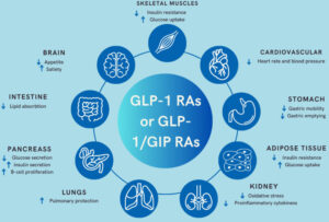 Scopri di più sull'articolo Obesità: il problema non è solo quanto è diffusa, ma come (non) viene trattata